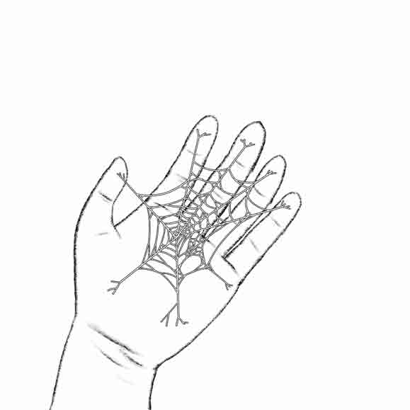 spider web in hand illustration