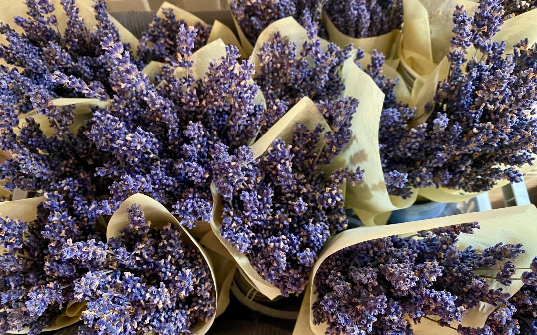 Home-grown Lavender